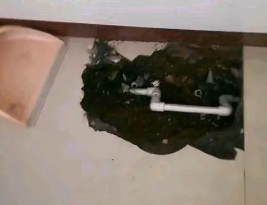 永平卫生间测漏水多少钱